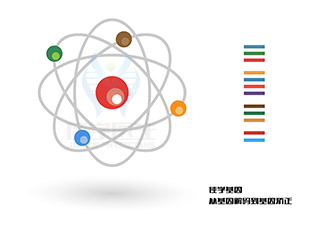 【佳學基因檢測】斑駁樣魚鱗病基因解碼、基因檢測有什么用？