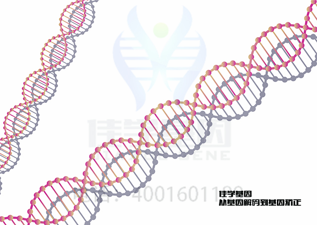 【佳學(xué)基因檢測】需要多長時(shí)間可以拿振動性蕁麻疹基因解碼、<a  data-cke-saved-href=http://m.vigrxplusreviewsreal.com/tk/jiema/cexujishu/2021/31933.html href=http://m.vigrxplusreviewsreal.com/tk/jiema/cexujishu/2021/31933.html>基因檢測</a>報(bào)告？