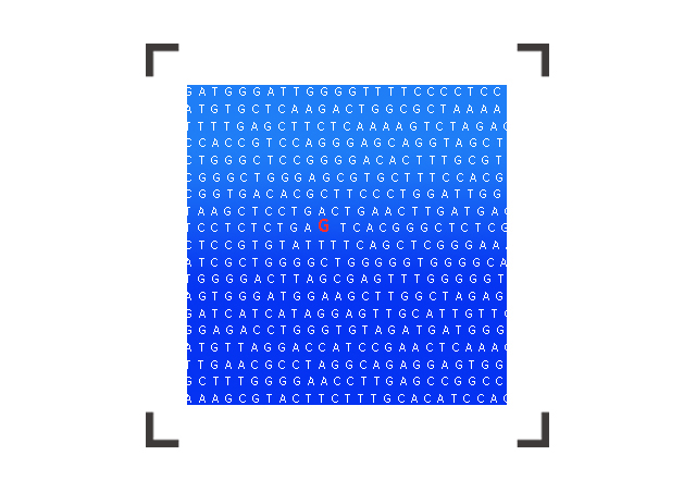 【佳學(xué)基因檢測】Acrocallosal綜合征基因解碼、<a href=http://m.vigrxplusreviewsreal.com/tk/jiema/cexujishu/2021/31933.html>基因檢測</a>報告時間是一樣的嗎？