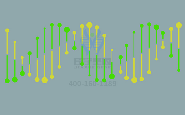 【佳學(xué)基因檢測(cè)】如何區(qū)分腎上腺功能不全先天性46XY（部分或有效）性逆轉(zhuǎn)基因解碼、<a href=http://m.vigrxplusreviewsreal.com/tk/jiema/cexujishu/2021/31933.html>基因檢測(cè)</a>？