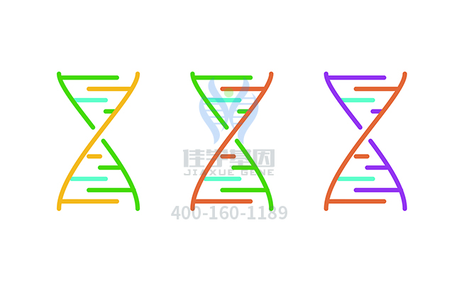 【佳學基因檢測】阿洛拉胺基因檢測