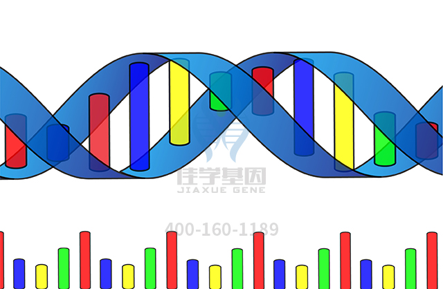 【佳學(xué)基因檢測】阿米卡星基因檢測