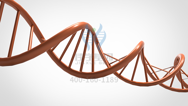 【佳學(xué)基因檢測】阿米諾非林基因檢測