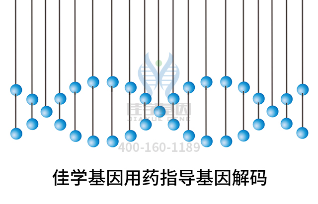 【佳學基因檢測】需要多長時間可以拿由于因子IX缺陷引起的X連鎖血栓形成傾向基因解碼、<a href=http://m.vigrxplusreviewsreal.com/tk/jiema/cexujishu/2021/31933.html>基因檢測</a>報告？