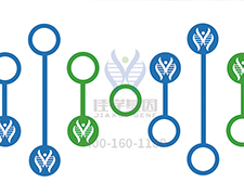 【佳學基因檢測】阿托伐他汀鈣基因檢測