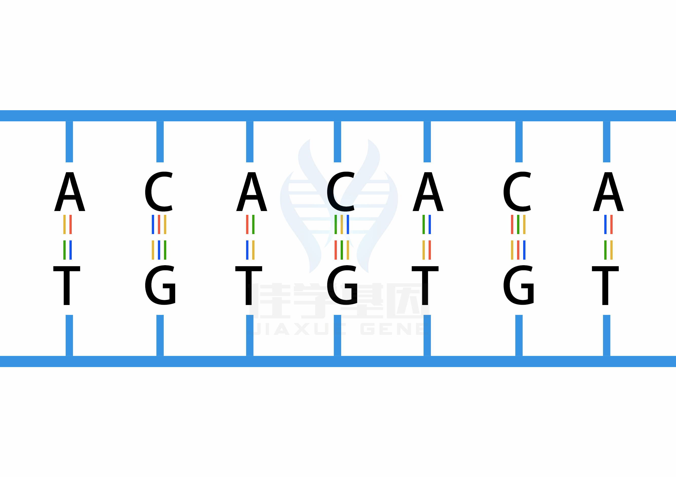 【佳學基因檢測】什么人要做性腺機能減退糖尿病<font color='red'>脫發(fā)</font>智力低下和心電圖異?；蚪獯a、<a href=http://m.vigrxplusreviewsreal.com/tk/jiema/cexujishu/2021/31933.html>基因檢測</a>？