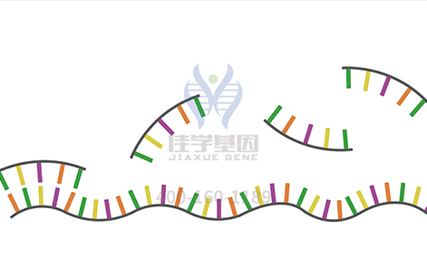 <b>【佳學(xué)基因檢測】如何選擇不同的視網(wǎng)膜色素變性基因檢測項(xiàng)目？</b>